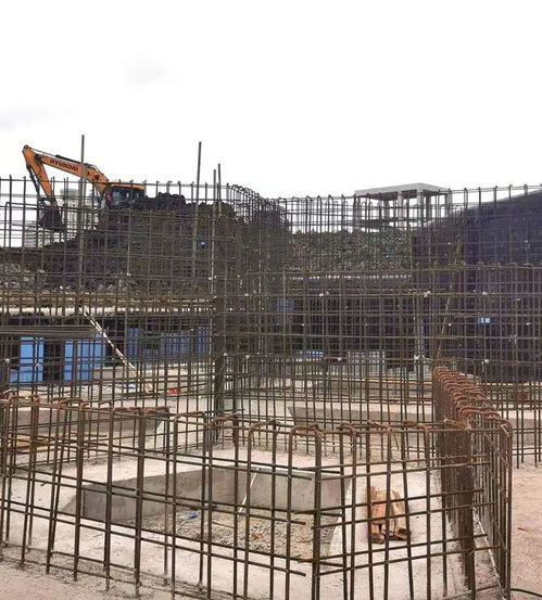 整體景觀月底將初現(xiàn) 楊浦這座在建城市公園有新進(jìn)展