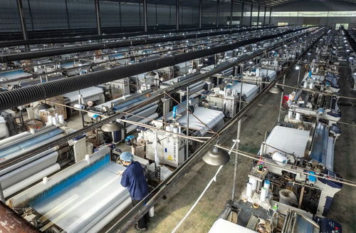 零陵區(qū)黃田鋪鎮(zhèn) 產(chǎn)業(yè)發(fā)展多元化 強鎮(zhèn)建設動能足