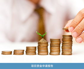 股權(quán)價(jià)值與項(xiàng)目投資風(fēng)險(xiǎn)分析 專(zhuān)業(yè)機(jī)構(gòu)的選擇與價(jià)格考量